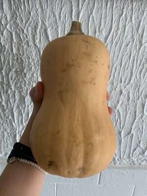 Butternut