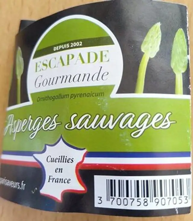 Asperges sauvages