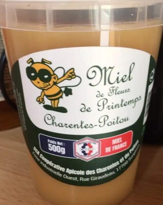 Miel de fleurs de printemps