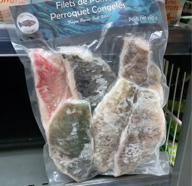 Filets de poisson Perroquet
