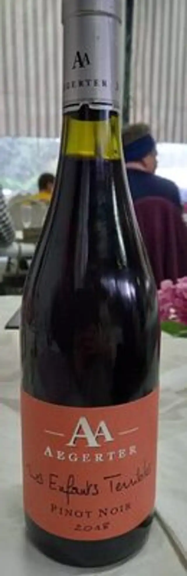 Pinot noir Les Enfants Terribles Aegerter
