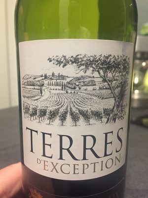 Vin de Bordeaux front packaging