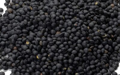 Lentilles noires Bio front packaging
