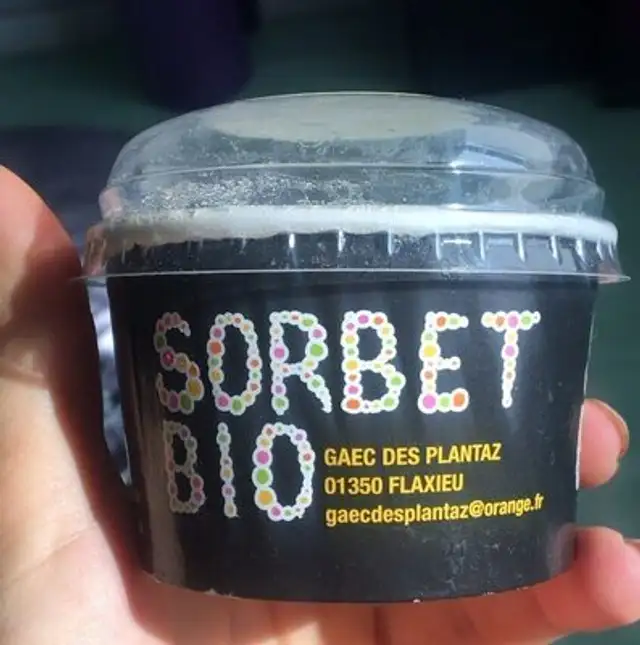 Sorbet pomme citron
