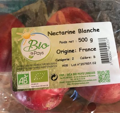 Nectarine blanche