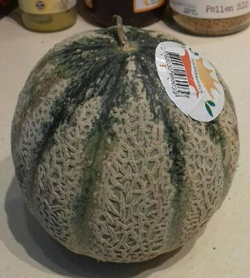Melon