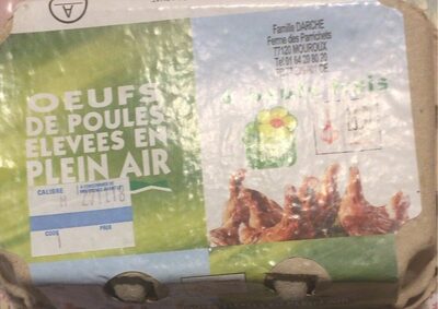 Oeufs de poule elevees en plaine air