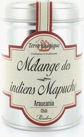 Melange Des Indiens Mapuche