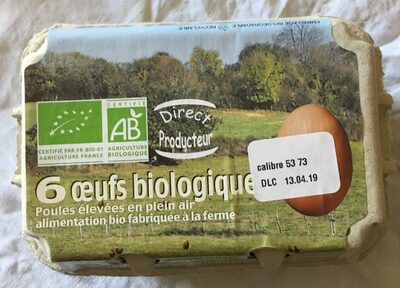 6 Oeufs bio moyen PICOTI