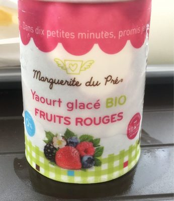 Yaourt glacé bio