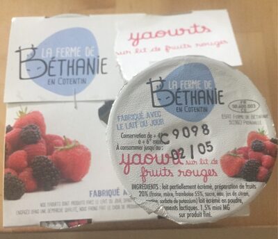 Yaourt sur lit de fruits rouges front packaging