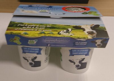 Yaourt nature au bon lait entier