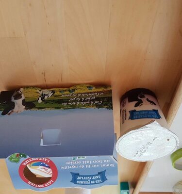 Yaourt  sur lit de myrtille au lait entier