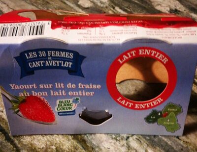 Yaourt sur lit de fraise au bon lait entier