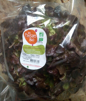 Laitue variété feuille de chêne rouge