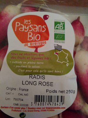 Radis long rose