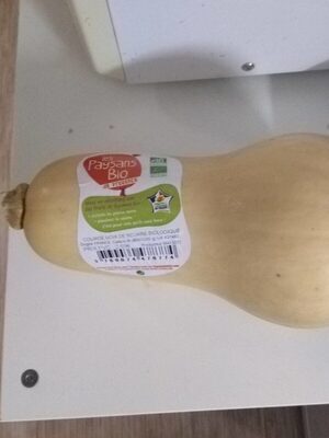 Courge noix de beurre biologique