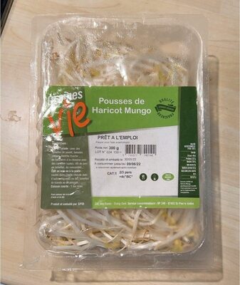 Pousse de haricot Mungo