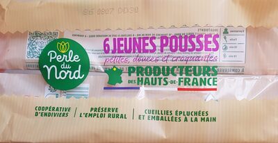 6 jeunes pousses d'endives