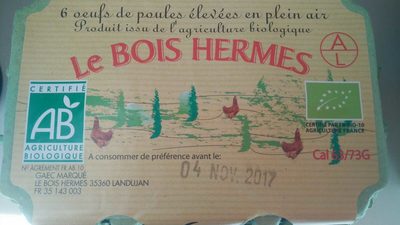 6 oeufs de poules élevées en plein air