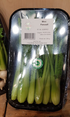 Mini fenouil