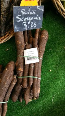 Scorsonere front packaging