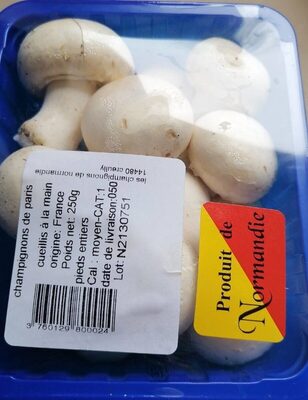 Champignons de Paris Entiers