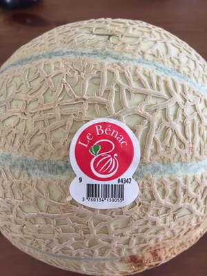 Melon