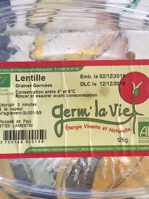 Lentilles graines germees