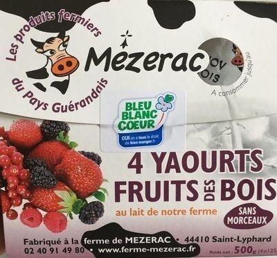 4 yaourts fruits des bois