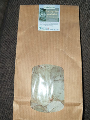 Eucalyptus globulus de Madagascar