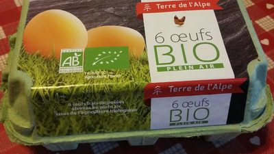 6 oeufs bio plein air