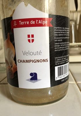 Veloute de champignons