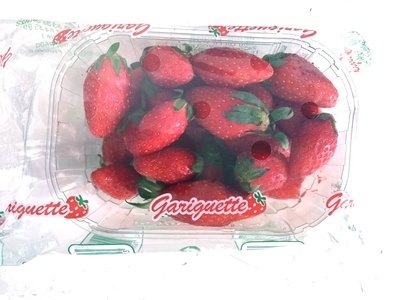 Gariguette front packaging