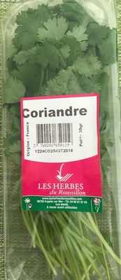 Coriandre fraiche