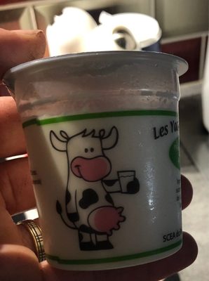 Les yaourts de nadege