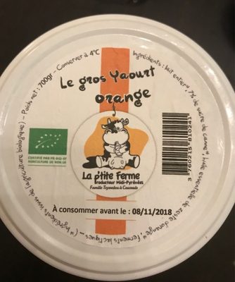 Le Gros Yaourt Orange