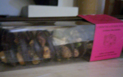 chocolat front packaging