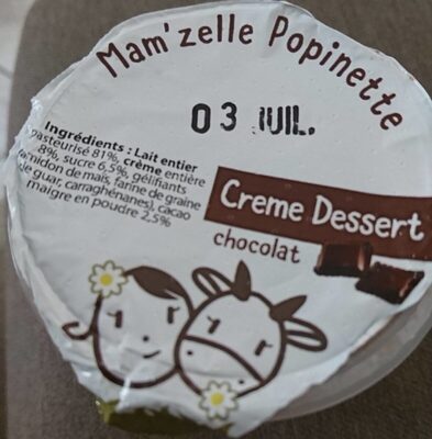 Crème dessert chocolat