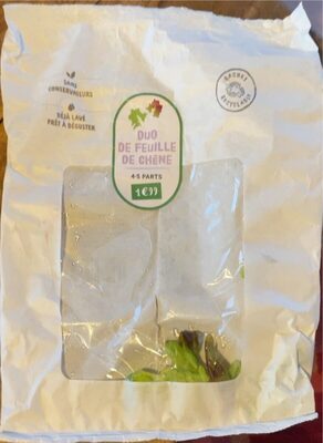 Duo de feuille de Chêne