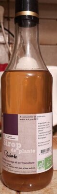 Sirop de plante Rhubarbe