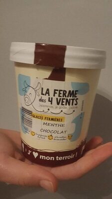 Glace menthe chocolat