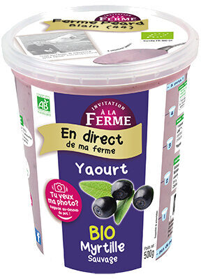 Yaourt à la Myrtille