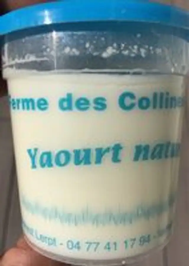 Yaourt nature