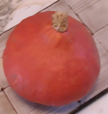 Potimarron front packaging