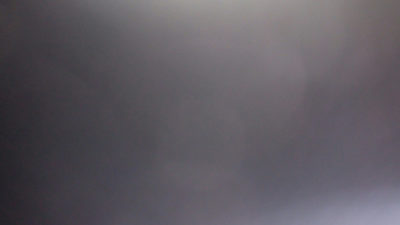 miel de Baobab de Madagascar