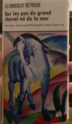 Sur les pas du grand cheval né de la mer front packaging