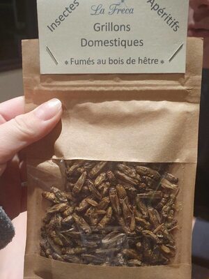 Grillons domestiques Nature