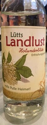 Holunderblüte Erfrischungsgetränk