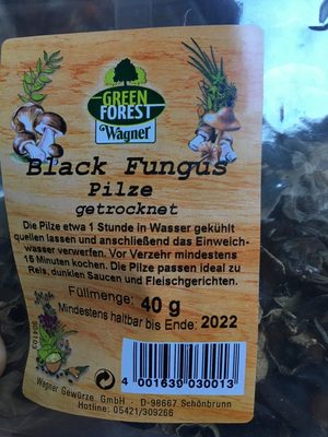 Black Fungus Pilze